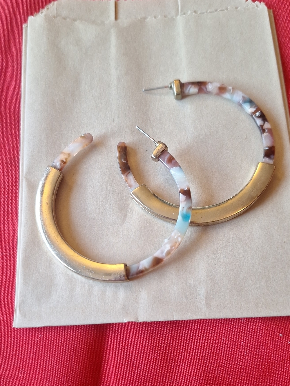 Gold and Tortoiseshell Hoop Earrings - Women Jewelry